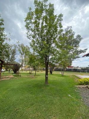 Salon de Fiestas Campestre, Fracc. Las Granjas, Puentecillas