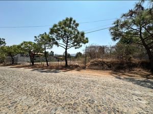 Terrenos en Venta en Fraccionamiento Residencial Campestre El Roble