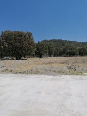 Terreno en venta Los Robles coto Daleas