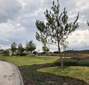 Vista del parque con
Palapa, arbolado.