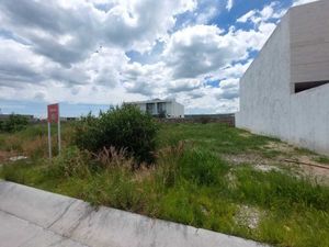 Terreno en Venta en Lomas del Molino V