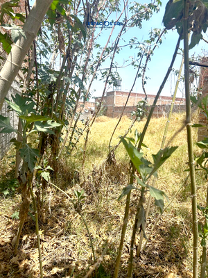 TERRENO HABITACIONAL, CON  BUENA UBICACIÓN, CERCA  AV. LÁZARO CÁRDENAS.