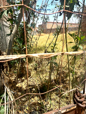 TERRENO HABITACIONAL, CON  BUENA UBICACIÓN, CERCA  AV. LÁZARO CÁRDENAS.