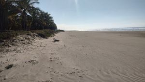 ¡Terreno en venta en Playa Azul con 300 mts frente playa!