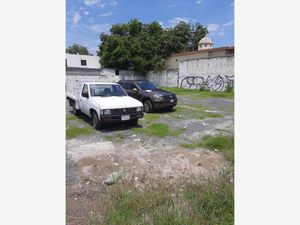 Terreno en Renta en Cadereyta Jimenez Centro Cadereyta Jiménez