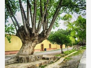 Terreno en Venta en San Isidro de las Palomas Arteaga