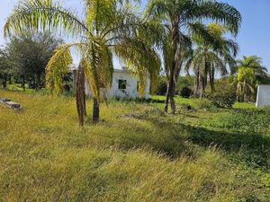 TERRENO VENTA EN LA MORITA MONTEMORELOS