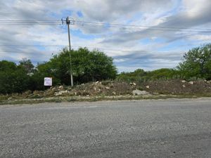 TERRENO  VENTA EN LA PETACA LINARES NL