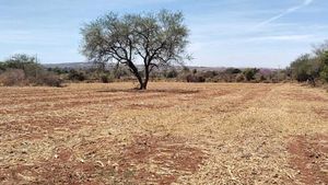 Terreno plano 3 hectareas uso de suelo doble