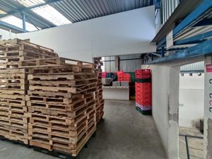 VENTA BODEGA SAN PEDRITO PEÑUELAS QUERETARO