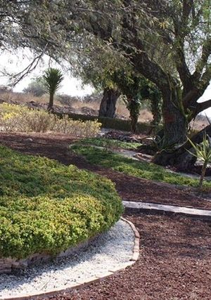 VENTA TERRENOS, PEÑA DE BERNAL, VERGEL DE LE PEÑA