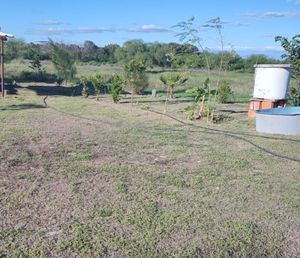 Terreno en venta en Linares N.L.