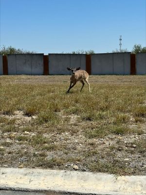 Terrenos en Club de Golf Las Aves