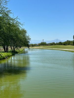 Terrenos en Club de Golf Las Aves