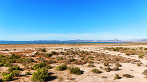 Terreno en Venta en El Centenario, La Paz BCS