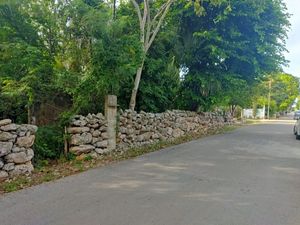 Terreno en venta en Baca a 8 km del pueblo mágico de Motul, Yucatán