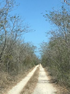 LOTES RESIDENCIALES EN HACIENDA SAN DIEGO PETZBALAM