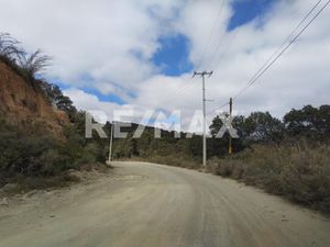 TERRENO PANORAMICO Y EXCELENTE EN JILOTZINGO