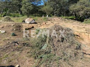 TERRENO PANORAMICO Y EXCELENTE EN JILOTZINGO