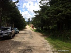 Venta Terreno  San Cristóbal de las casas