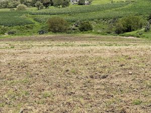 🌲 ¡Remate de Terreno en Amealco! 🌲