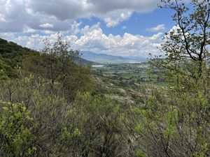 🏞️ ¡Tu Próxima Gran Inversión en Amealco! 4.5 Hectáreas de Oportunidades 🌲✨