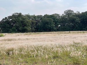 REMATE TERRENO DE 3.16 HECTÁREAS EN AMEALCO‼