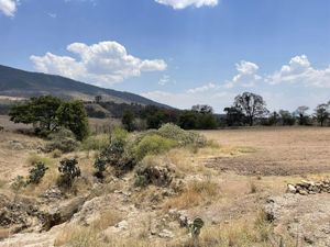 🏞️ Remate de 2.54 Hectáreas en Chiteje de la Cruz, Amealco: Oportunidad Única ⚠