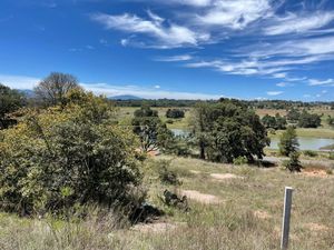 OPORTUNIDAD TERRENO DE 427 M2 EN AMEALCO