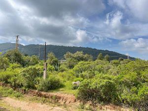 ‼INCREÍBLE TERRENO DE 1500 M2 EN AMEALCO‼