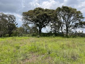 🌲 ¡Tu Próxima Gran Inversión en Amealco! 🌲