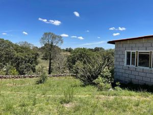 INCREIBLE CABAÑA ECOLÓGICA EN VENTA EN AMEALCO‼