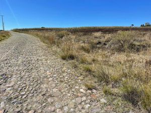 OPORTUNIDAD, TERRENO EN VENTA DE 1.5 HECTÁREAS EN AMEALCO‼