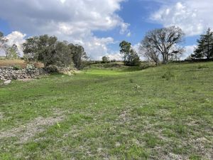 🌲 ¡TERRENO DE OPORTUNIDAD EN AMEALCO! 🌲