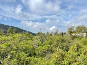 ‼INCREÍBLE TERRENO DE 1500 M2 EN AMEALCO‼