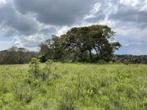 🌲 ¡Tu Próxima Gran Inversión en Amealco! 🌲