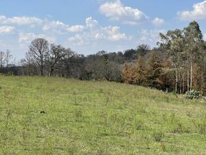 🌲 ¡TERRENO DE OPORTUNIDAD EN AMEALCO! 🌲