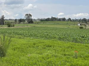 🌲 ¡Tu Próxima Gran Inversión en Amealco! 🌲