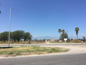 Terreno Comercial en Renta en Linares