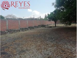 Terreno en venta en Oaxtepec Morelos