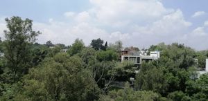 Departamento en venta y renta en las lomas de Chapultepec