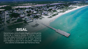 Departamento en Venta frente al mar en Sisal, Yucatán Sandre Mod. PH 1