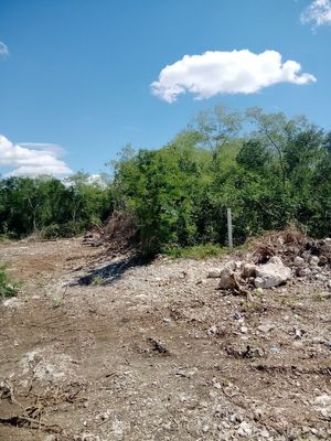 VENTA DE TERRENOS EN TRAVIAN RESIDENCIAL, CHICXULUB PUEBLO.