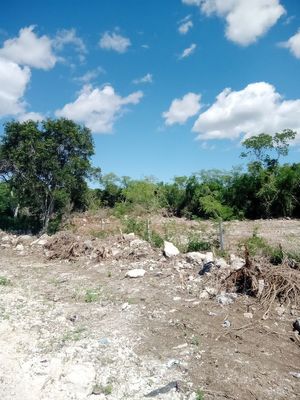 VENTA DE TERRENOS EN TRAVIAN RESIDENCIAL, CHICXULUB PUEBLO.