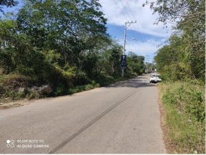 En Venta Terreno en Esquina Conkal, Yucatán