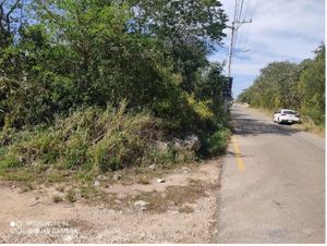 En Venta Terreno en Esquina Conkal, Yucatán