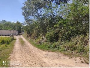 En Venta Terreno en Esquina Conkal, Yucatán