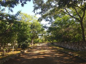 Terreno en Venta Privada Puerta Mayab, Dzibilchaltún, Yucatán Lote 17