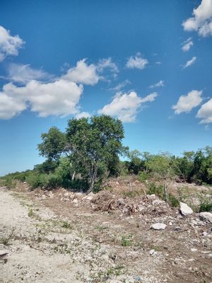 VENTA DE TERRENOS EN TRAVIAN RESIDENCIAL, CHICXULUB PUEBLO.