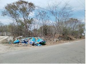 En Venta Terreno en Esquina Conkal, Yucatán